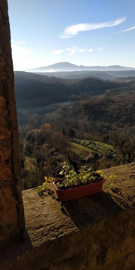 Roccalvecce Dimora Turistica De' Piazza酒店 外观 照片